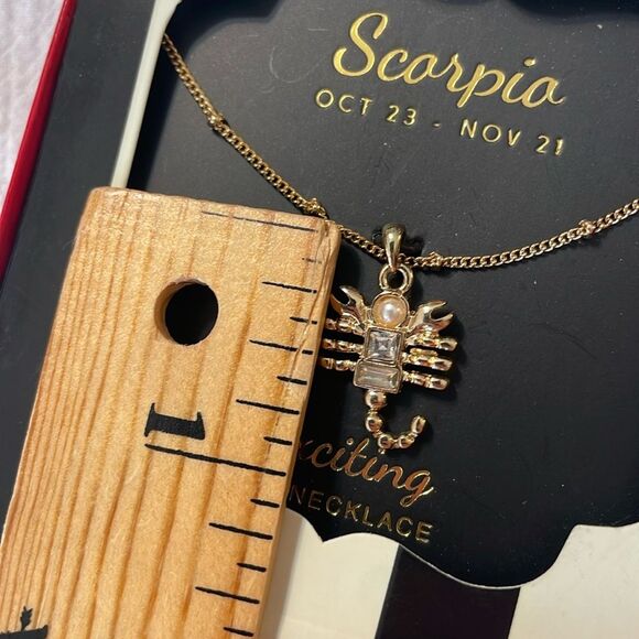 Astrology Scorpio Scorpion 18” Necklace - Picture 2 of 2